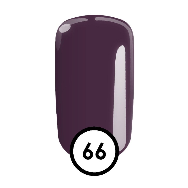 Urban Pro UV color gel 5g - 66 ripe plum, Ljubičasti