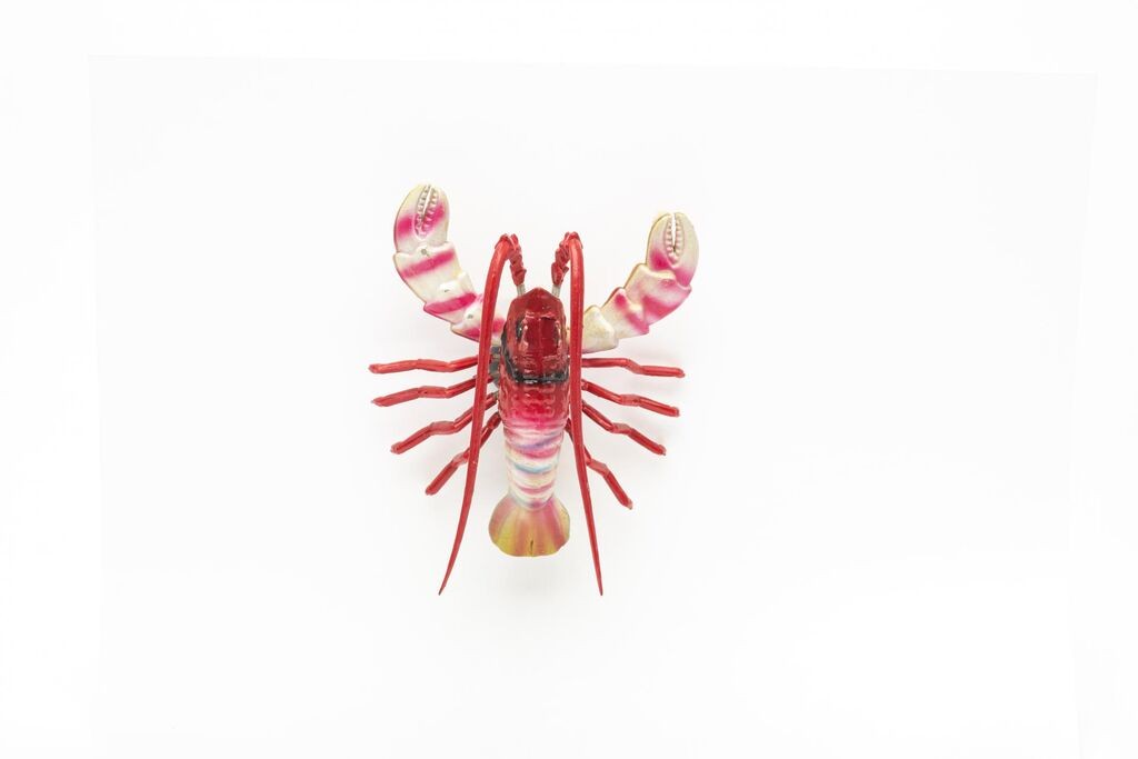 PEM SRL Suvenir Sa Magnetom Rak Ar2304A-4