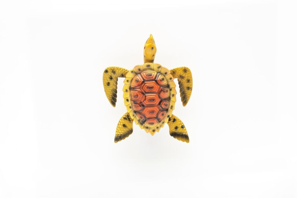 PEM SRL Suvenir Sa Magnetom Kornjaca Ar2955-4