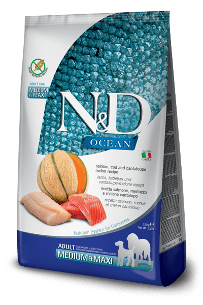 N&D Ocean Medium&Maxi Adult 12kg. - losos, bakalar i dinja