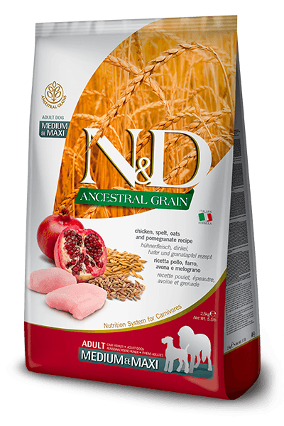 N&D Ancestral Grain Medium&Maxi Adult 12+3kg. - piletina, spelta, ovas i šipak