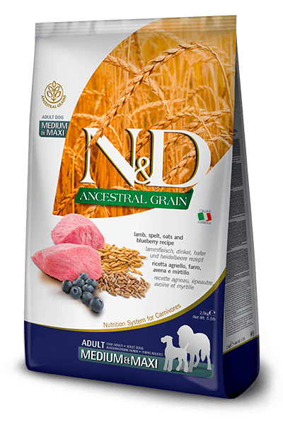 N&D Ancestral Grain Medium&Maxi Adult 12kg. - jagnjetina, spelta, ovas i borovnica
