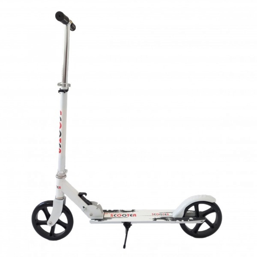 Trotinet 2 Tocka Metalni