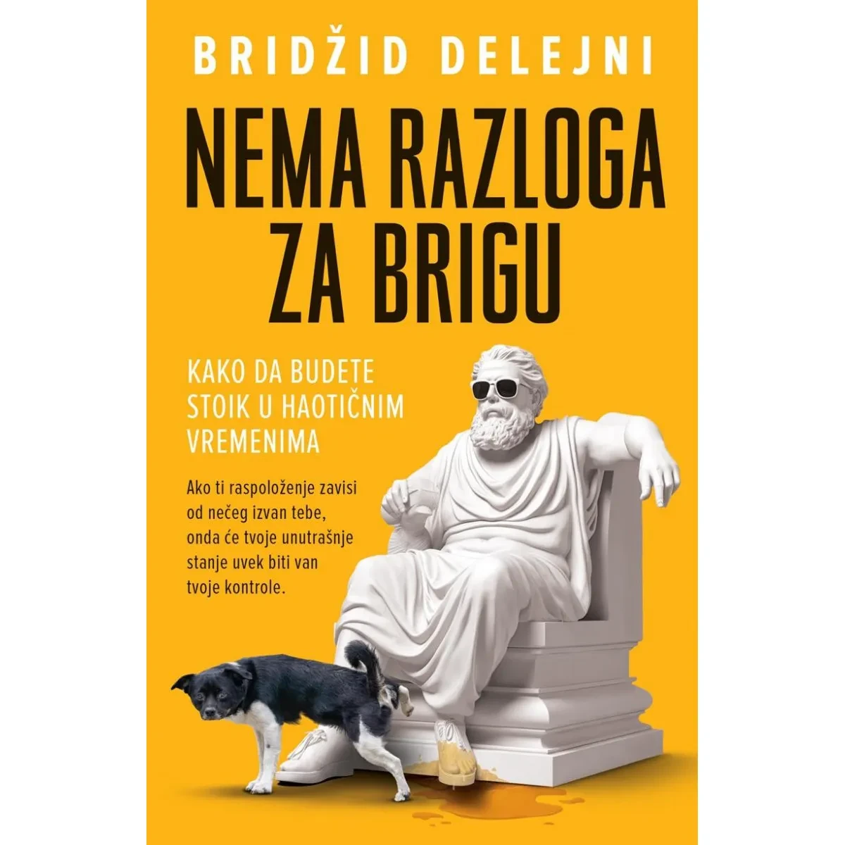 Nema Razloga Za Brigu/Bridzid Delejni