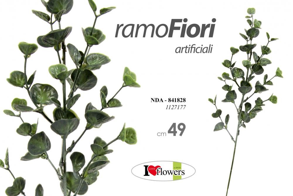 Ukrasna Grana 49Cm 1127177