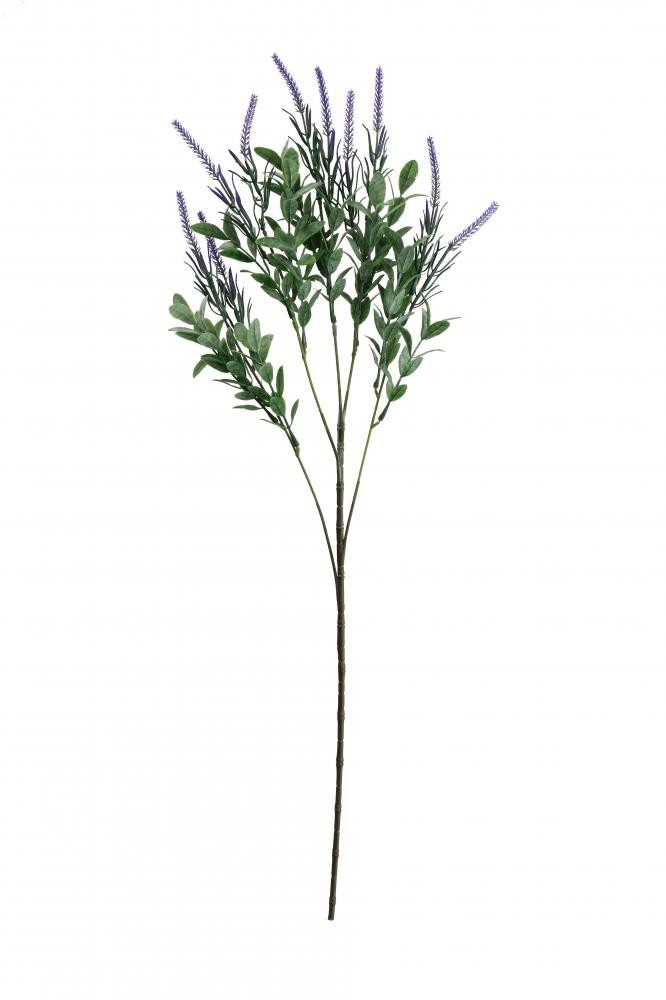 Grana Lavande X Dec Cm66 103218