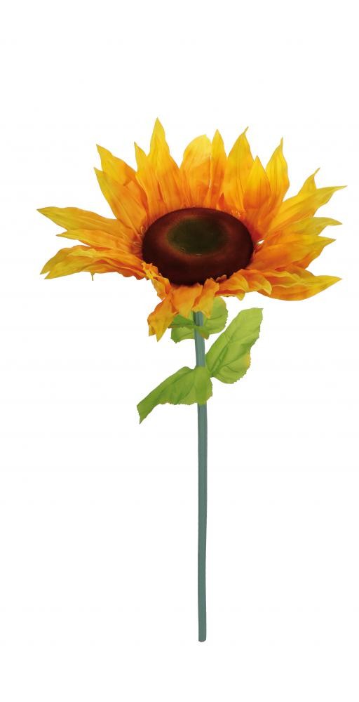 Suncokret Cm130 101724