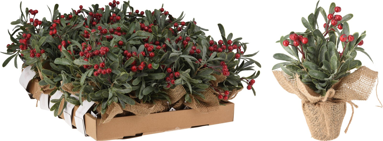 Novogodišnja Cvijet Sa Bobicama Umotan U Saksiji Od Jute 28Cm 317910720