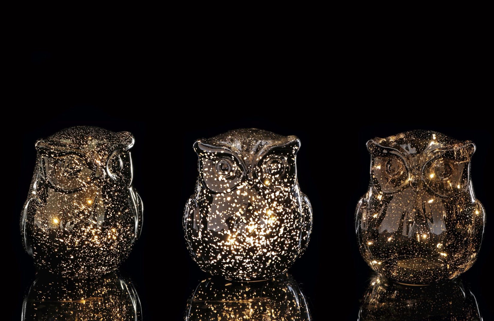 Staklena Lampa Sova Sa 15 Led Dioda (3Aaa K 1,5V Na Baterije) D16Xh18 107762