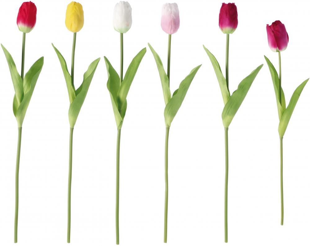 Cvijet Lala A6C Cm60 103989