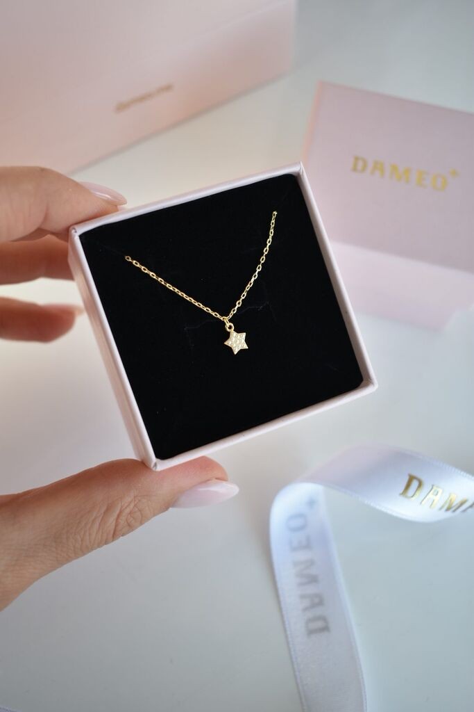 Dameo Ogrlica Little Star - srebro 925 sa pozlatom i cirkoni