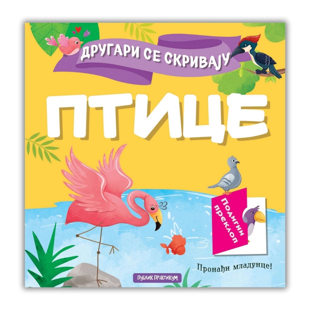 Drugari Se Skrivaju-Ptice Publik Praktikum