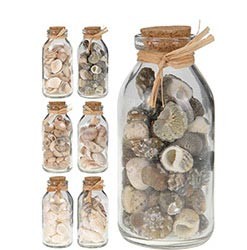 Progarden Dekorativne Školjke U Staklenoj Tegli 4,5X11,5Cm