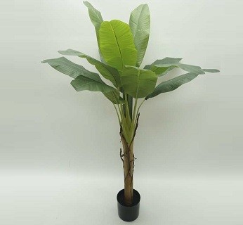 Chi-Na Arts Vještačka Biljka Banana 155Cm