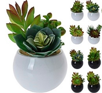 PROGARDEN Vještačka biljka Secculent 12cm u keramščkoj saksiji 8cm