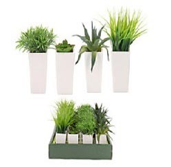 Progarden Vještačka Biljka 31,5Cm U Saksiji 6Cm