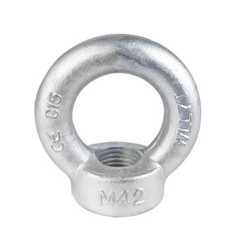 Navrtka očna DIN582 pocinčana 30mm