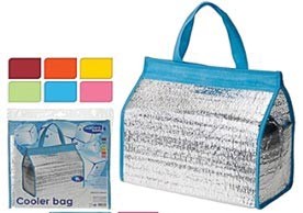 Cool Torba Termo 8L 30X15X15Cm