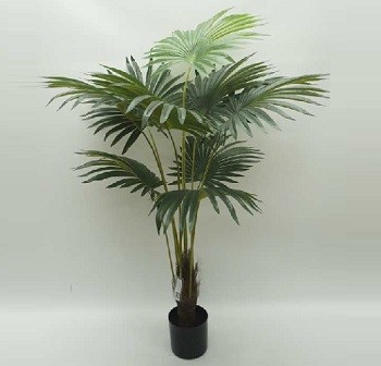 Chi-Na Arts Vještačka Biljka Palma 160Cm