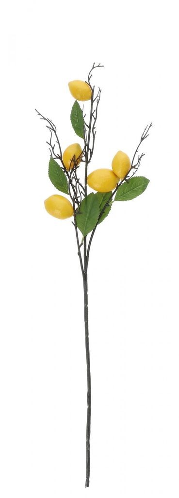 Ukrasna Grana Limuna Cm90 112541