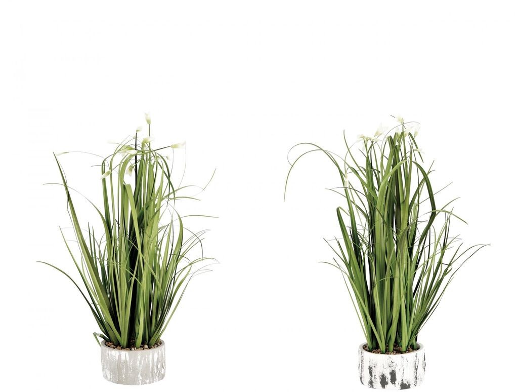 Ukrasna Trava U Saksiji  D13,5Xh60 75421