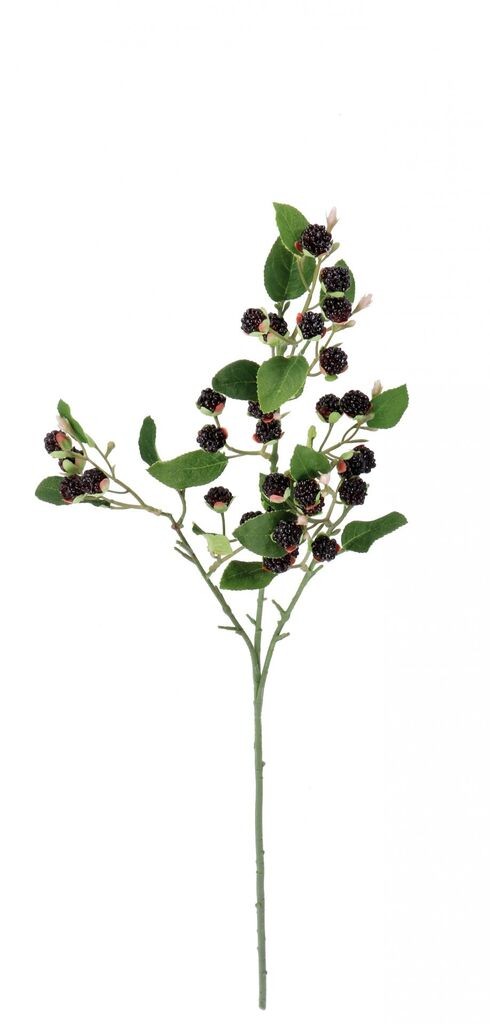 Ukrasna Grana Cm87 111244