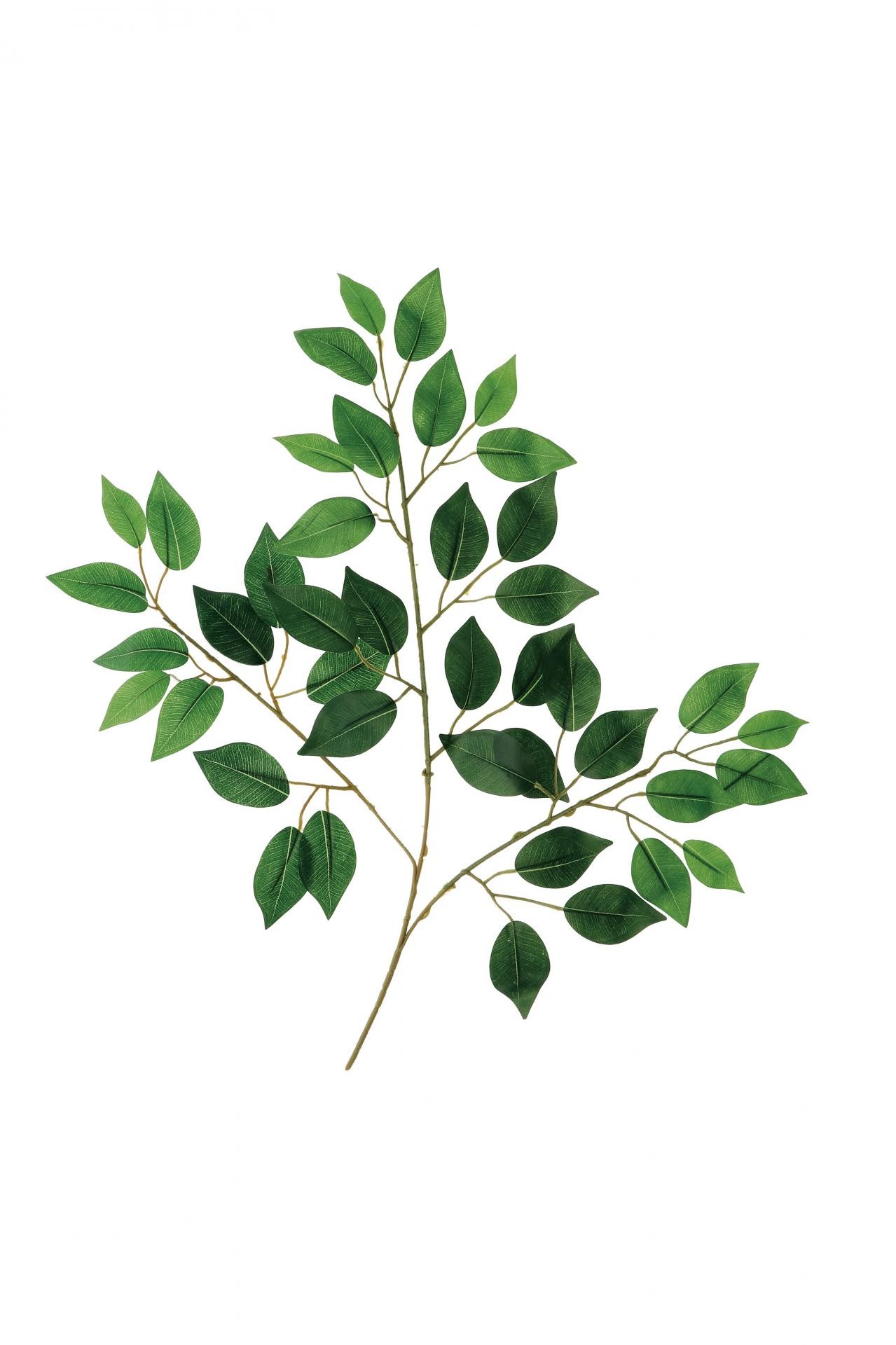 Dekorativna Zelena Grana Cm58 75694