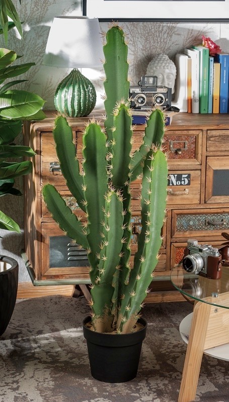 Kaktus U Saksijiplastika 38Xh105