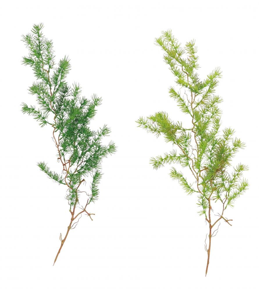 Puzavica A2C Cm94 69226