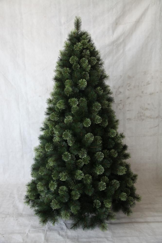 Jelka  Montana 180 Cm