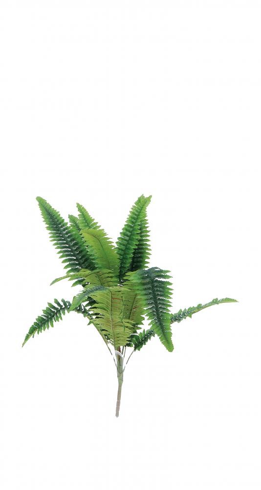 Buket Paprata  Cm63 82502