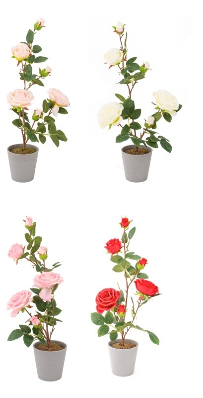 Ruza U Saksijiplastika Diam11Xh555