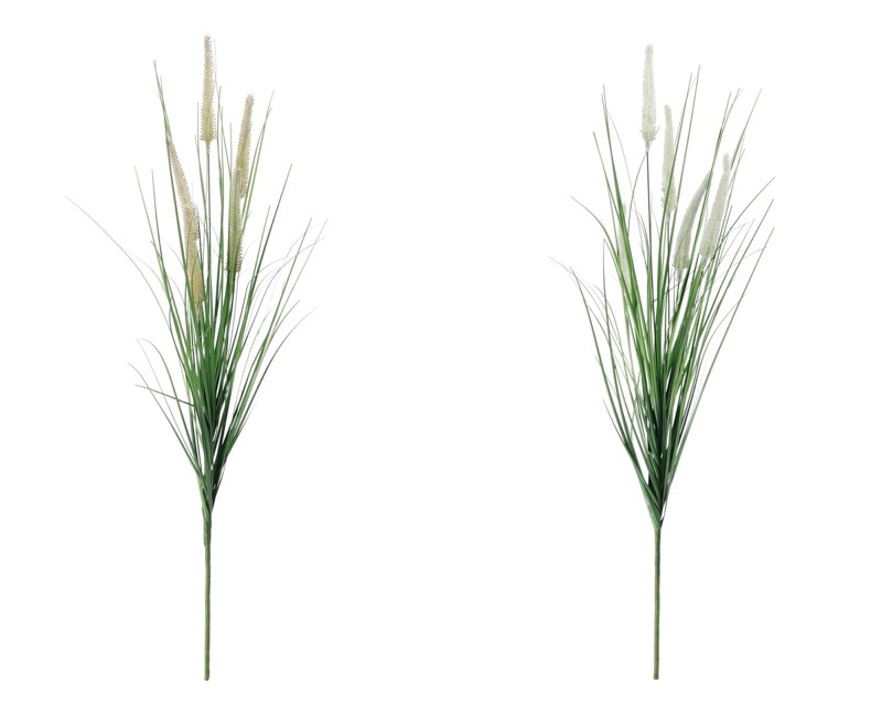 Granapampas Ass2Col Cm76 103795