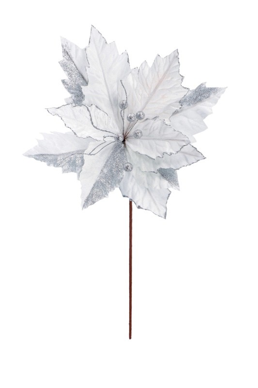 Novogodišnji Cvijet Bijeli  D34Xh575 71923 Bijela