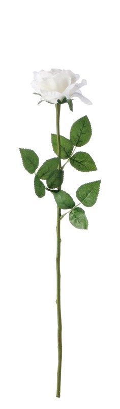 Cvijetruza Bijela Cm59 103994 Bijela