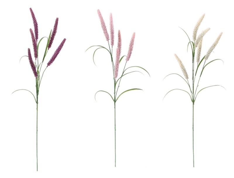 Granapampas Ass3Col Cm95 103793