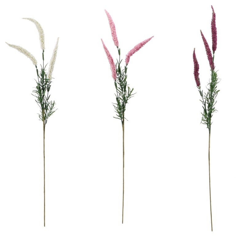 Granapampas Ass3Col Cm75 103792