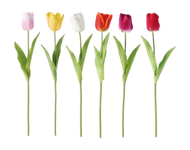 Cvijetlala A6C Cm52 103988