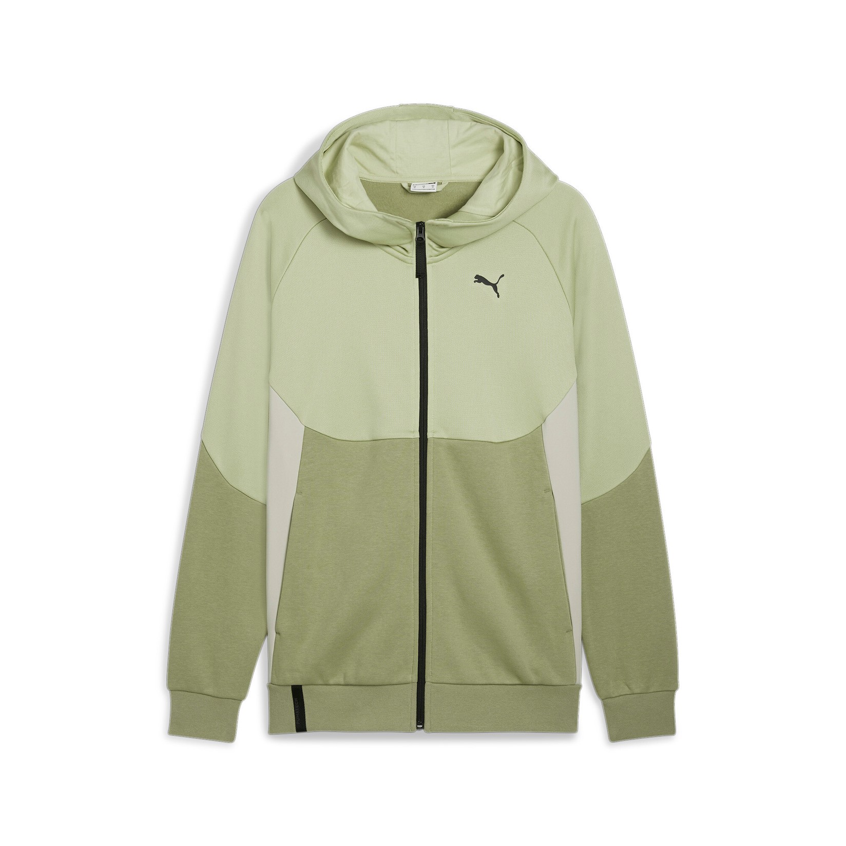 Puma duks muški, Zelena