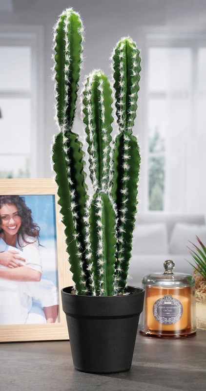 Kaktusplastika  Diam14Xh5