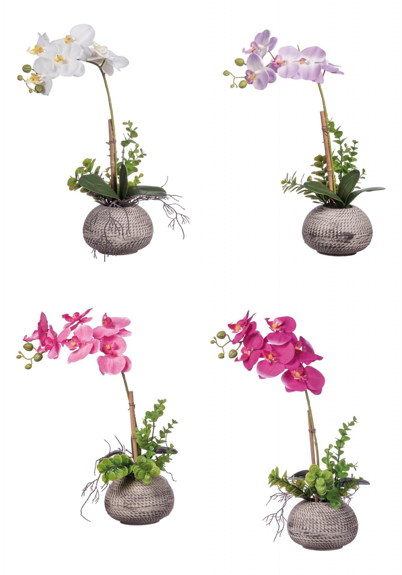 Orhideja U Saksiji Diam14Xh40 66063