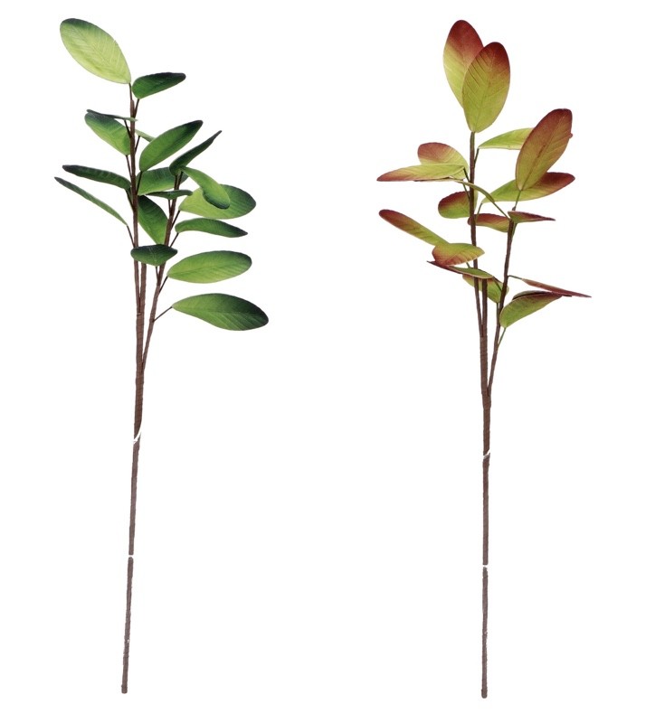 Grana Ukrasnalistovi Ass2Col Cm94 77129