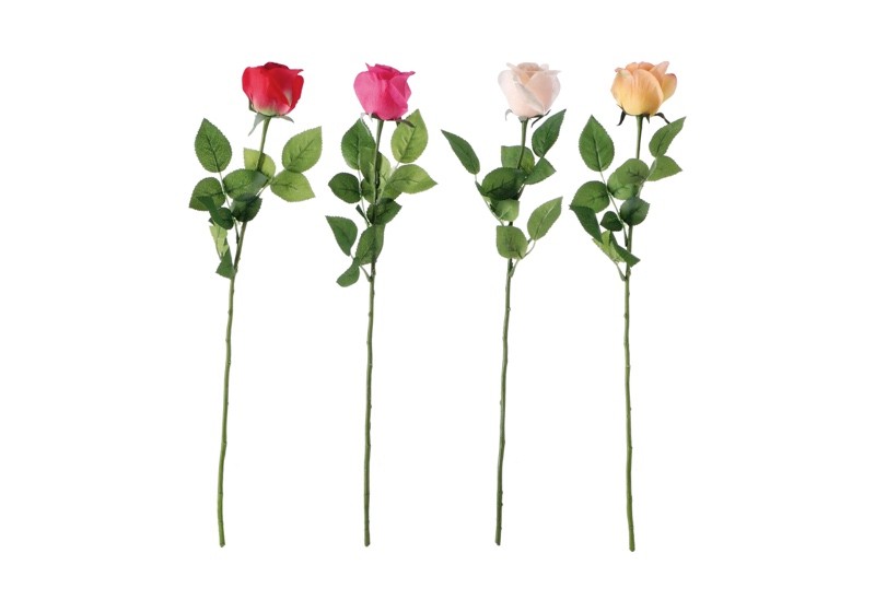 Cvijet Ruza Ass4Col Cm57 104004