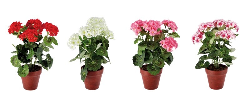 Ukrasni Cvijet U Keramickoj Saksiji D24Xh38 66457