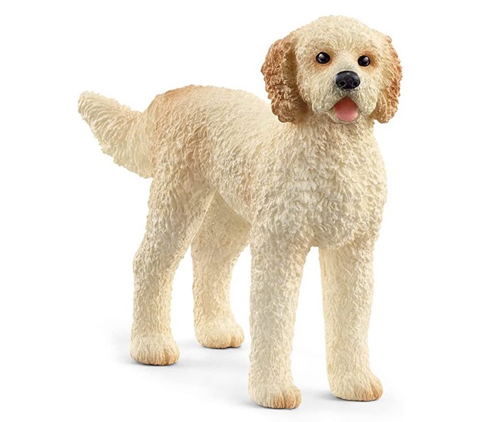 SCHLEICH Slika Goldendoodle