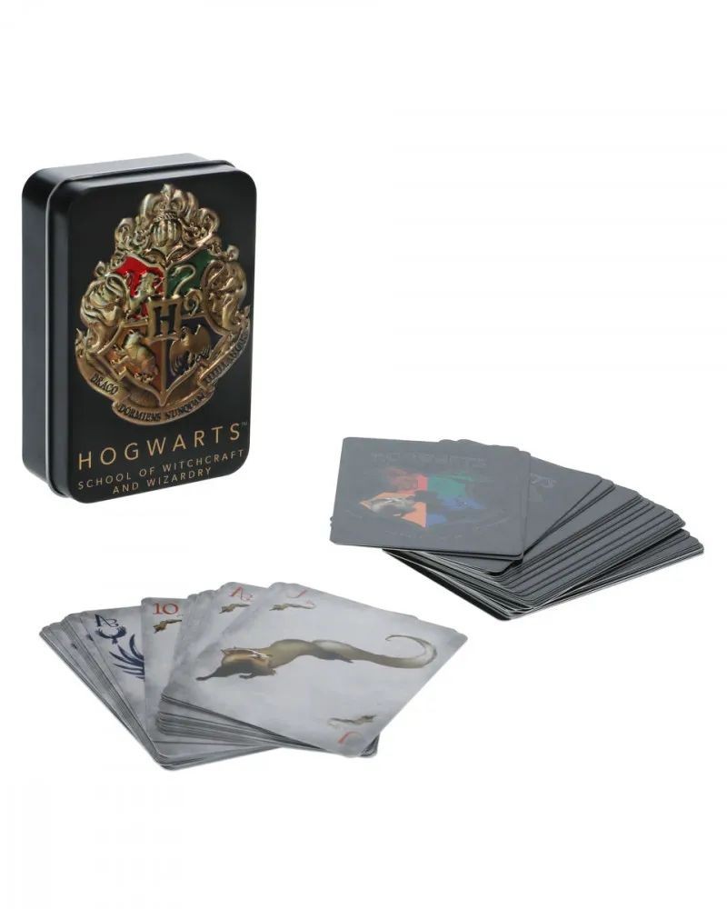 Karte Paladone Harry Potter - Hogwarts - School Of Witchcraft And Wizardry