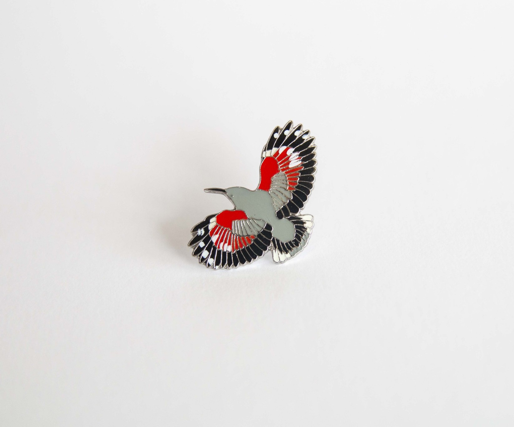 Monticola Bedž  Puzgavac (Tichodroma muraria)