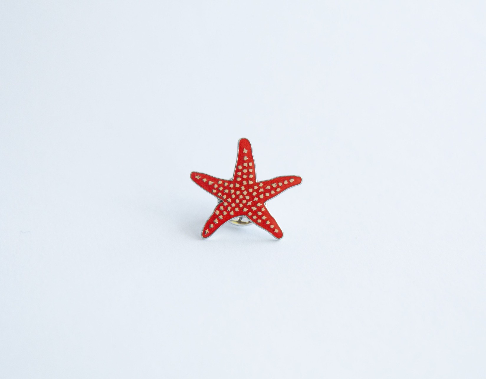 Monticola Bedž  Morska zvijezda (Asteroidea)