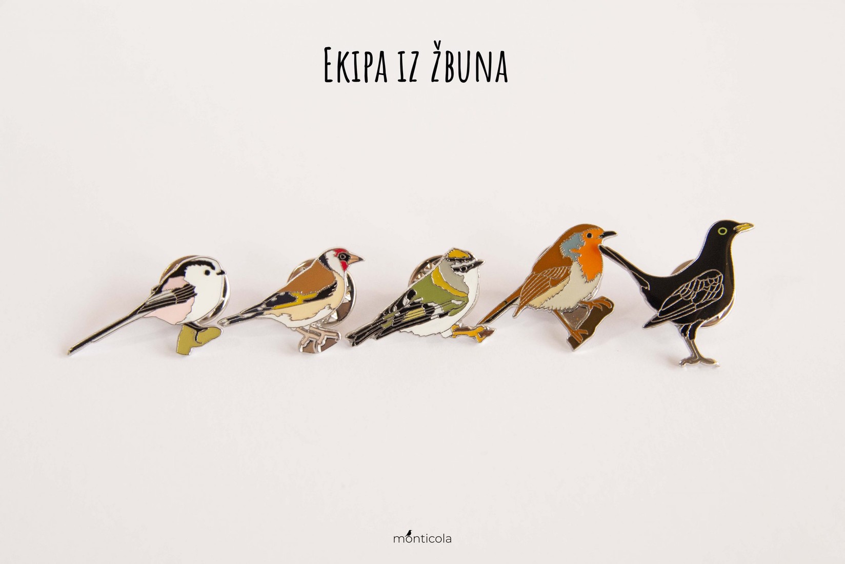 Monticola Bedž  Set Ekipa iz žbuna