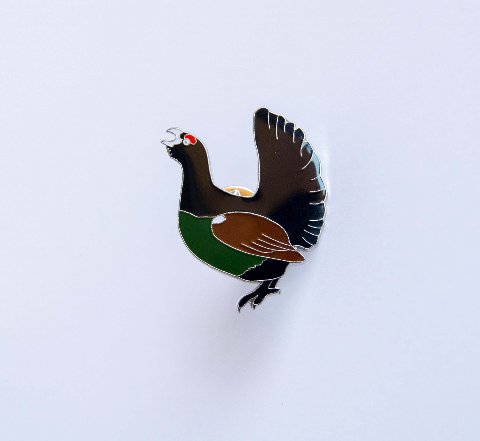 Monticola Bedž  Tetrijeb gluhan (Tetrao urogallus)